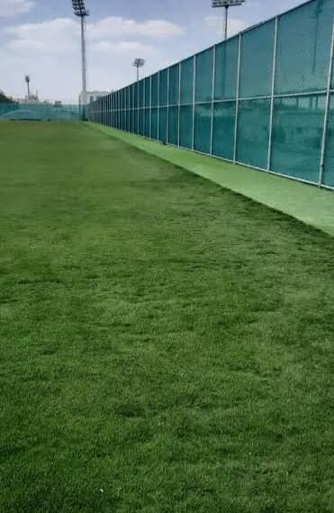 شبوك ملاعب السعوديه